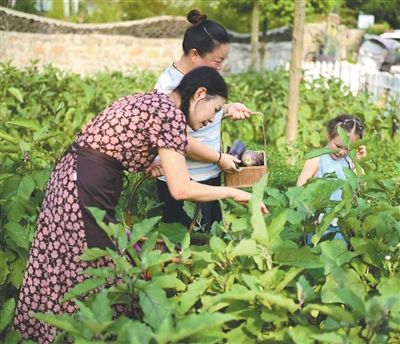 舌尖上的消费__舌尖餐饮策划